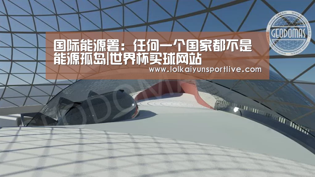 国际能源署：任何一个国家都不是能源孤岛|世界杯买球网站