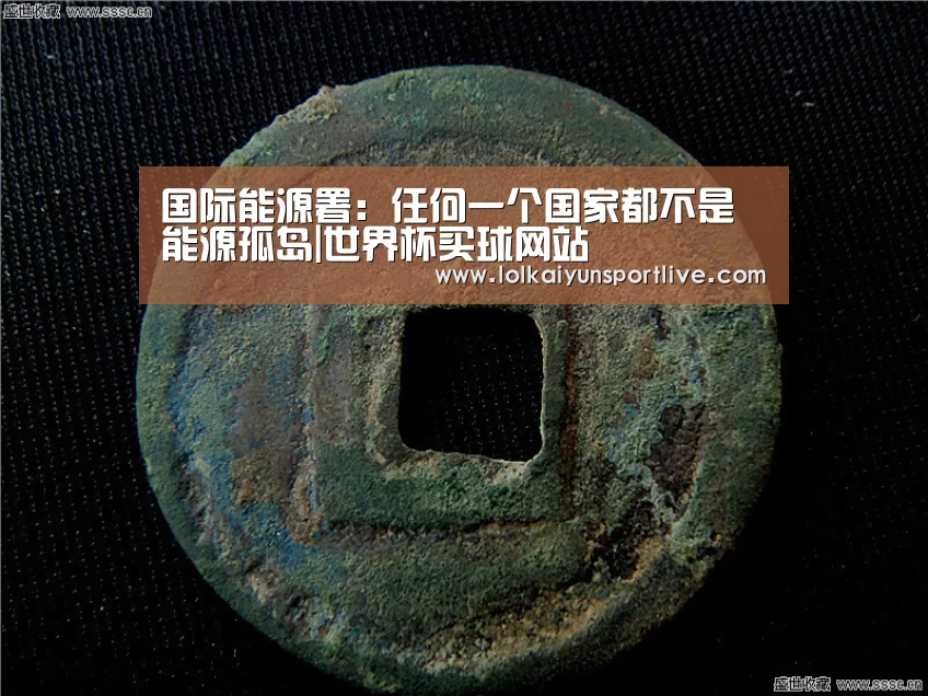 国际能源署:任何一个国家都不是能源孤岛|世界杯买球网站(图2) 世界杯外围买球官网