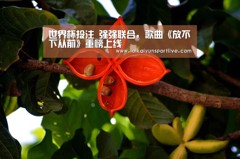 世界杯投注_强强联合，歌曲《放不下从前》重磅上线
