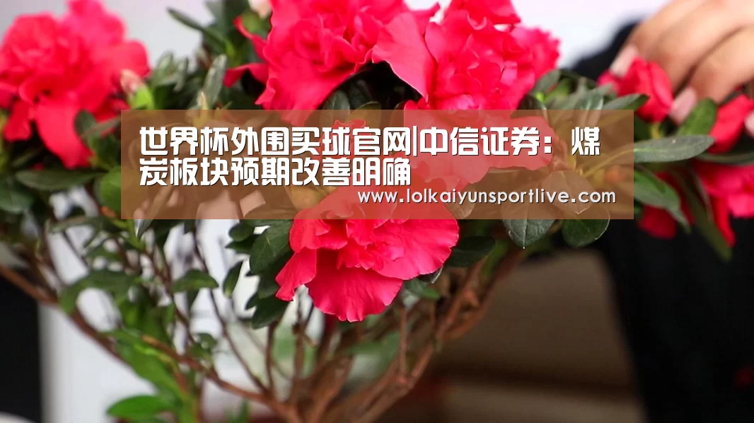 世界杯买球网站官网