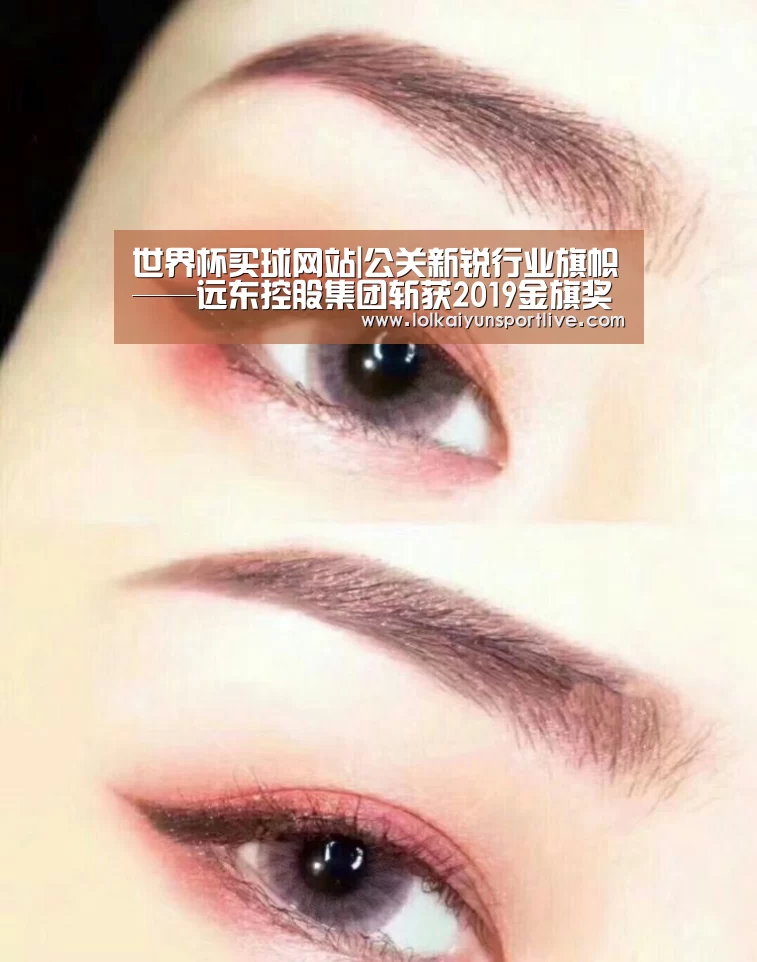 世界杯买球网站|公关新锐行业旗帜——远东控股集团斩获2019
